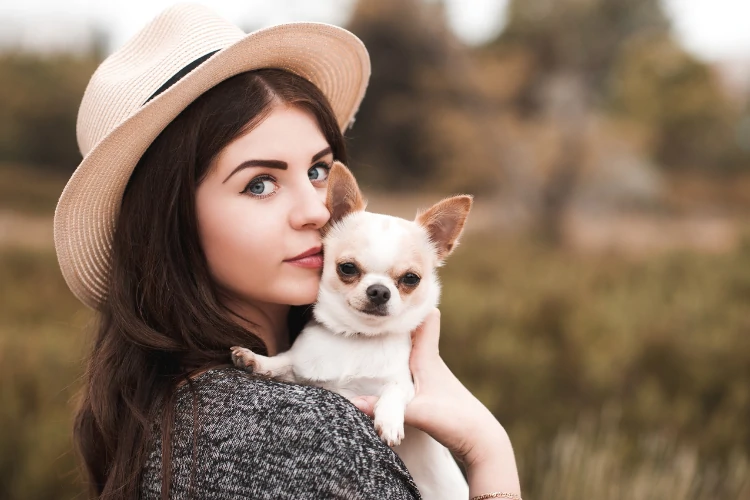 Emotional support dogs are trained to help people who have mental illness or disabilities. They provide comfort, companionship, and assistance when needed.