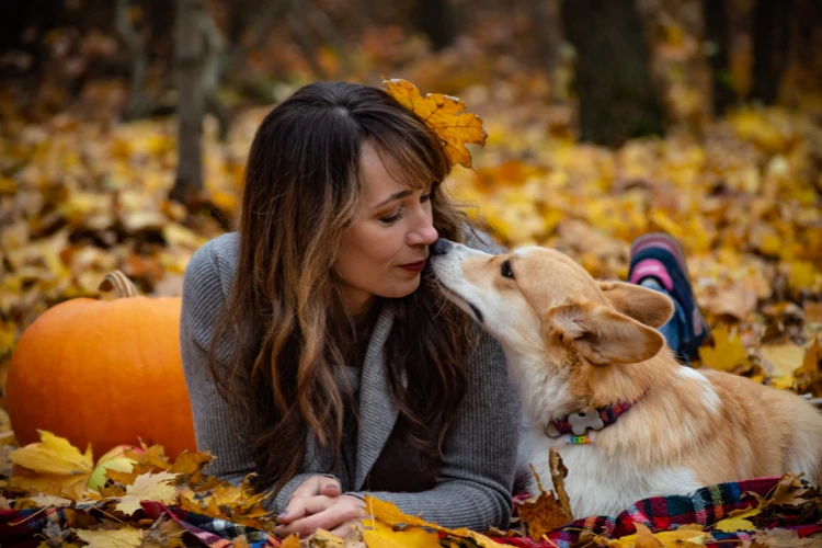 Emotional support dogs are trained to help people who have mental illness or disabilities. They provide comfort, companionship, and assistance when needed.