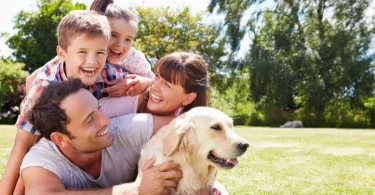 Dog Support Insurance is a trusted pet insurance provider offering affordable coverage for dogs and pets. Start saving today!