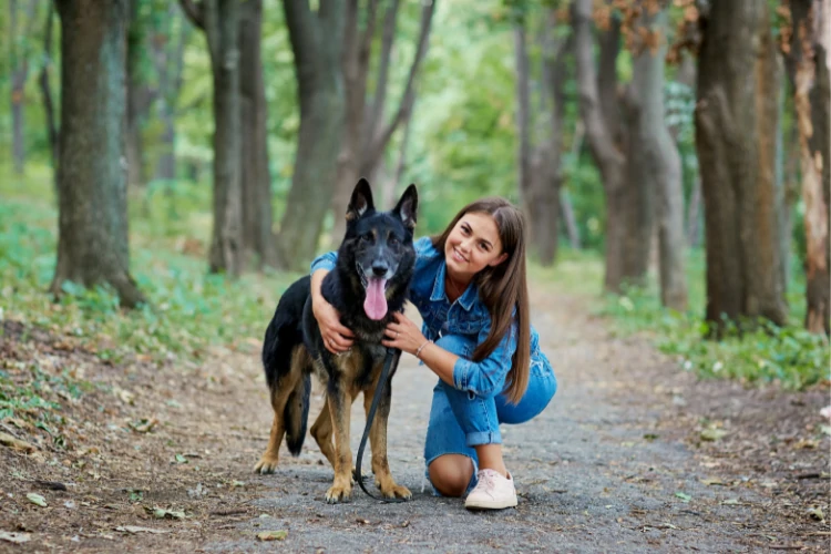 Emotional support dogs are trained to help people who have mental illness or disabilities. They provide comfort, companionship, and assistance when needed.